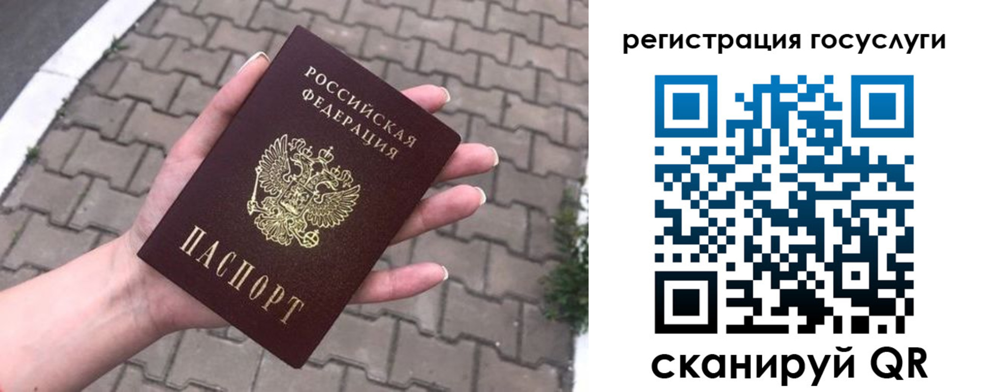 прописка 2025 в Тихорецке